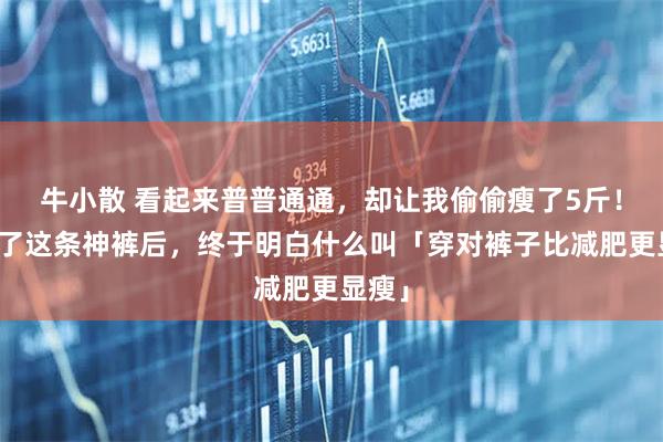 牛小散 看起来普普通通，却让我偷偷瘦了5斤！？试了这条神裤后，终于明白什么叫「穿对裤子比减肥更显瘦」